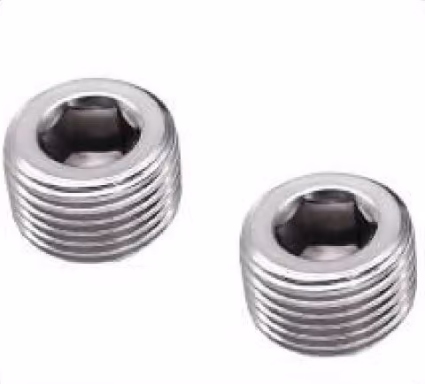 Hex Socket Plug — FerruleX stainless steel fittings