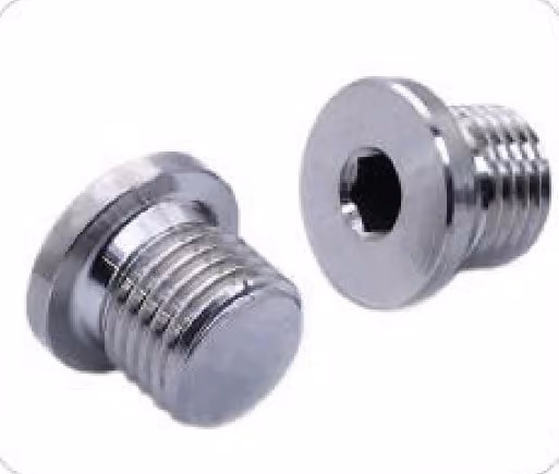 Flanged Hex Socket Plug — FerruleX stainless steel fittings