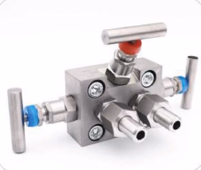 Valve Manifold — FerruleX stainless steel fittings