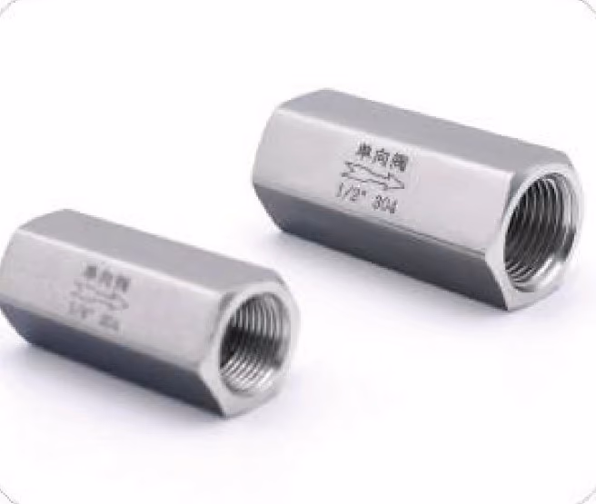Female Thread Check Valve — FerruleX stainless steel fittings